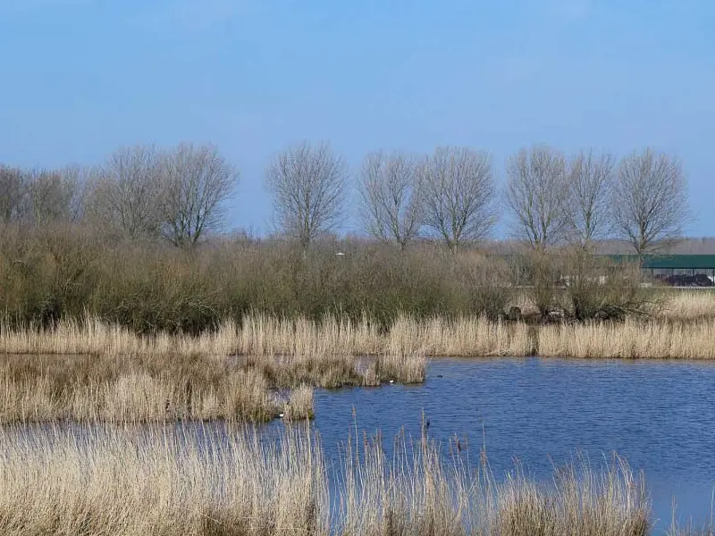 Buiten Delftse Waterloop