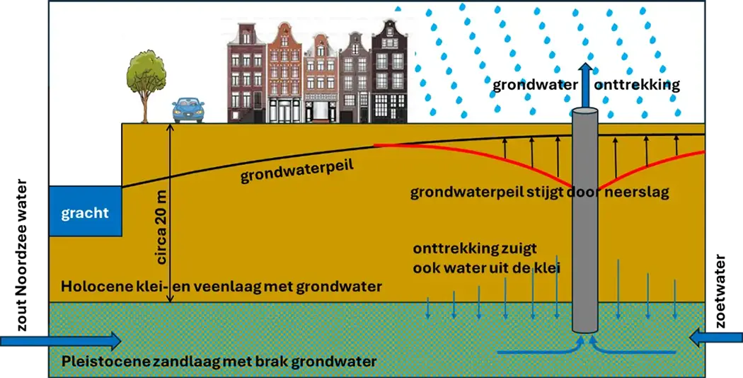 De neerslag compenseert ruim de verlaging van het grondwaterpeil door onttrekking