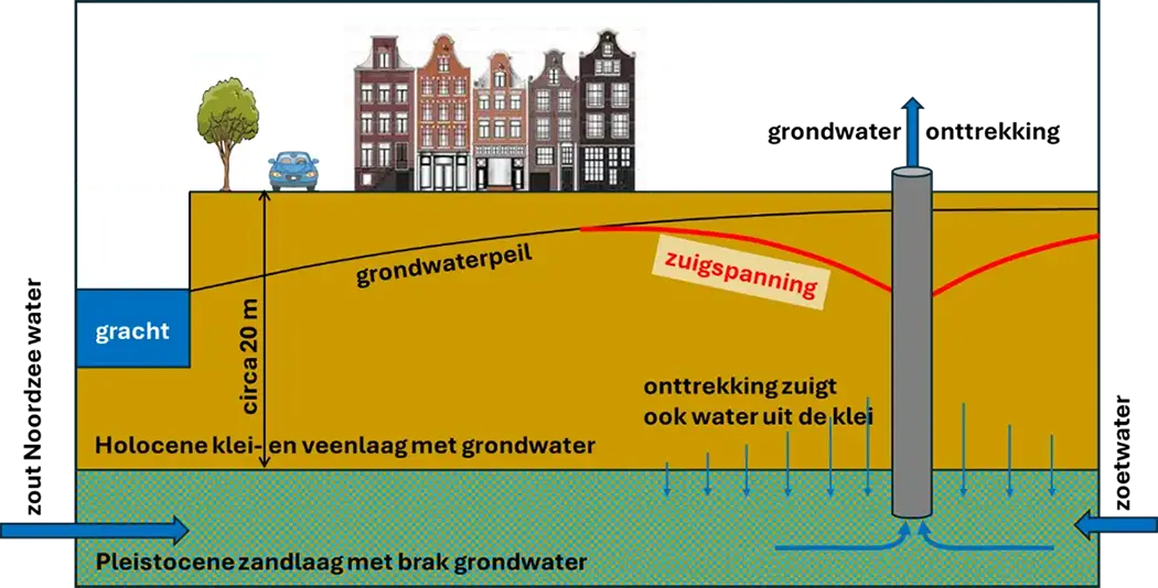 Grondwaterstromen en grondwaterpeil als gevolg van grondwateronttrekking door DSM