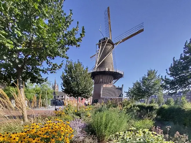 Molen De Roos