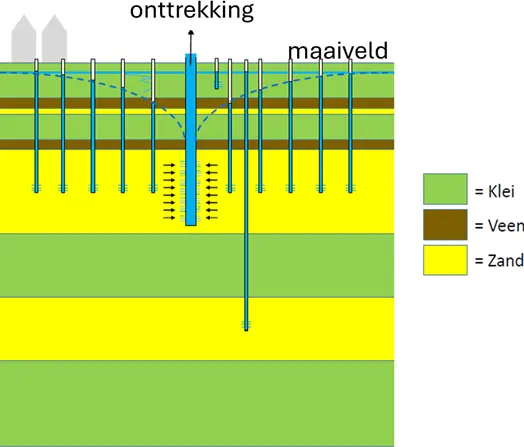 Ondiepe peilbuizen meten het ondiepe grondwaterpeil in de Holocene klei-veenlaag