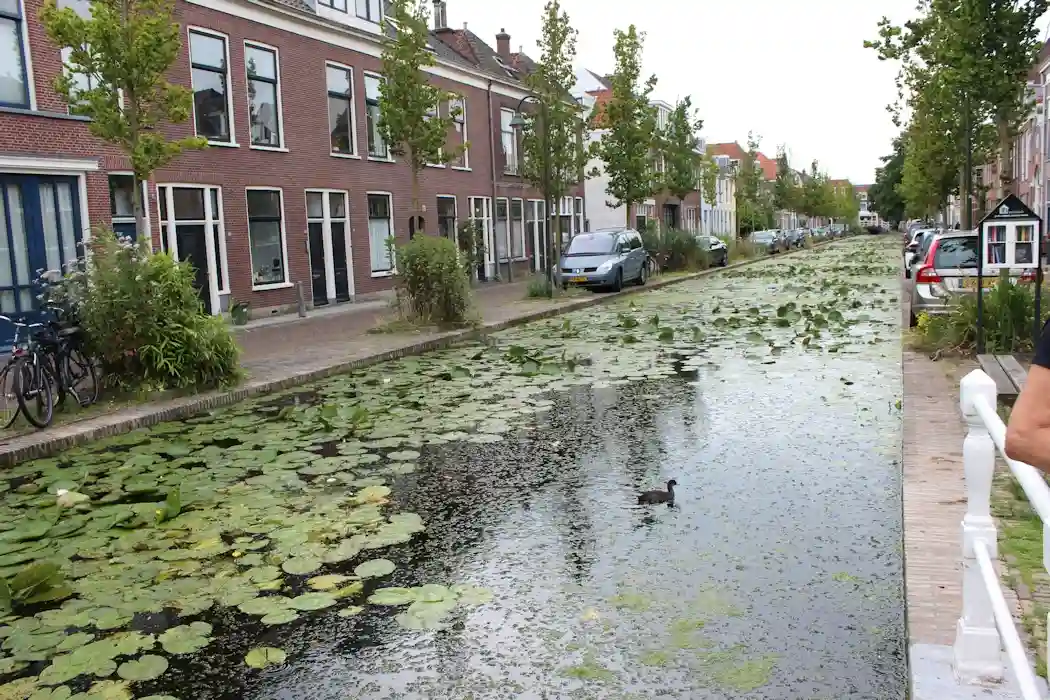 Rietveld canal