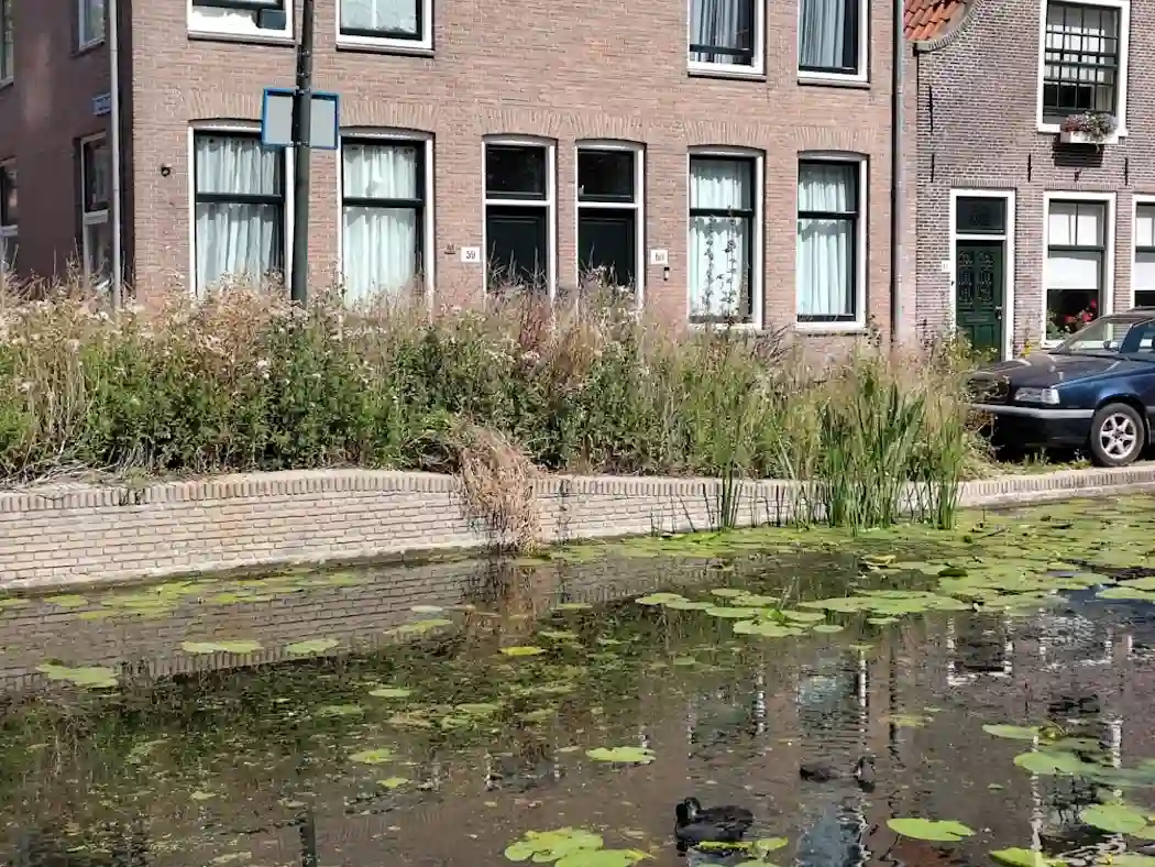 Geerweg – Quai height