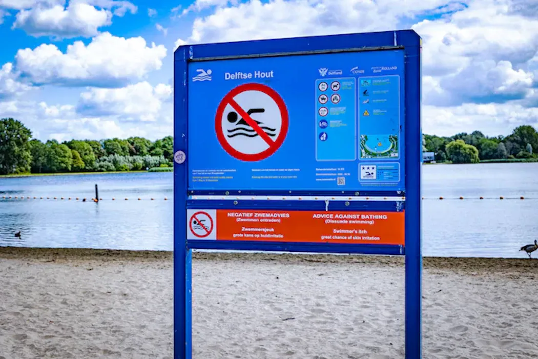 Waterkwaliteit in de Grote Plas – blauwalg